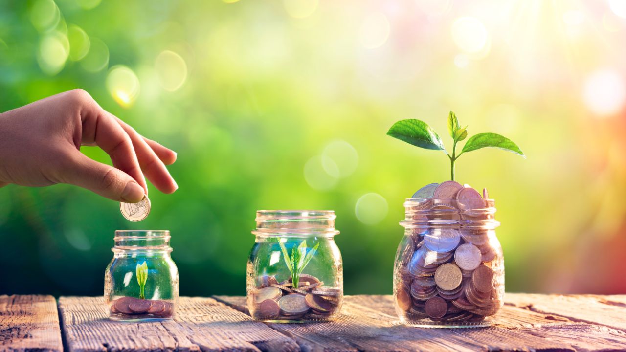 educatie financiara personala